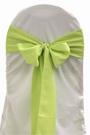 Apple Green Polyester Tie from Always Invited Event Rentals