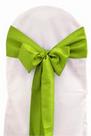 Lime Polyester Tie from Always Invited Event Rentals