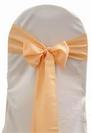 Peach Polyester Tie from Always Invited Event Rentals