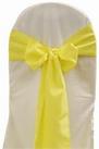 Yellow Polyester Tie from Always Invited Event Rentals