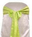 Apple Green Satin Tie from Always Invited Event Rentals