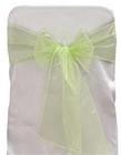 Apple Green Organza Tie from Always Invited Event Rentals