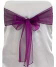 Aubergine Organza Tie from Always Invited Event Rentals