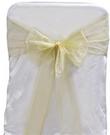 Champagne Organza Tie from Always Invited Event Rentals