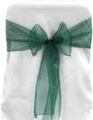 Hunter Organza Tie from Always Invited Event Rentals