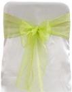 Lime Organza Tie from Always Invited Event Rentals