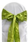 Lime Pintuck Tie from Always Invited Event Rentals